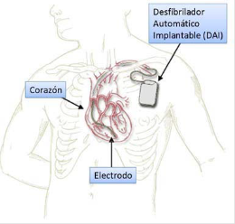 Imagen 5