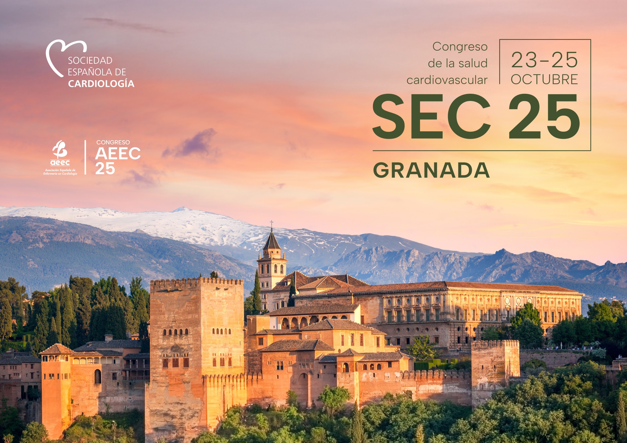 Congreso SEC25. Congreso de salud cardiovascular. Granada
